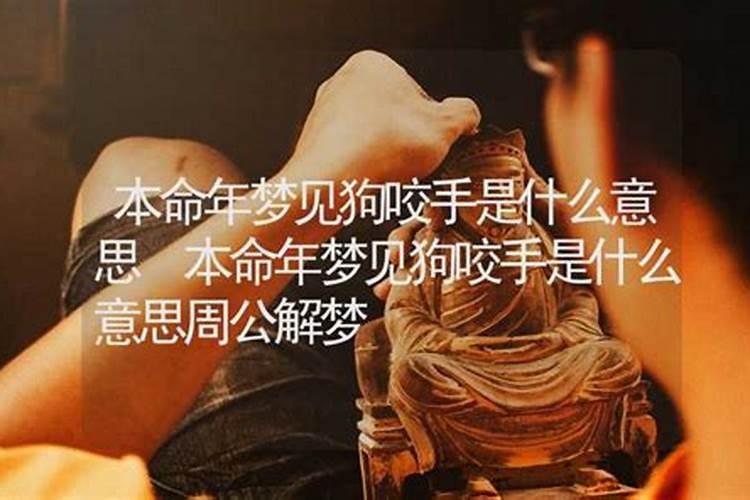 女人梦到被狼咬手什么意思 为什么梦到被狼咬手