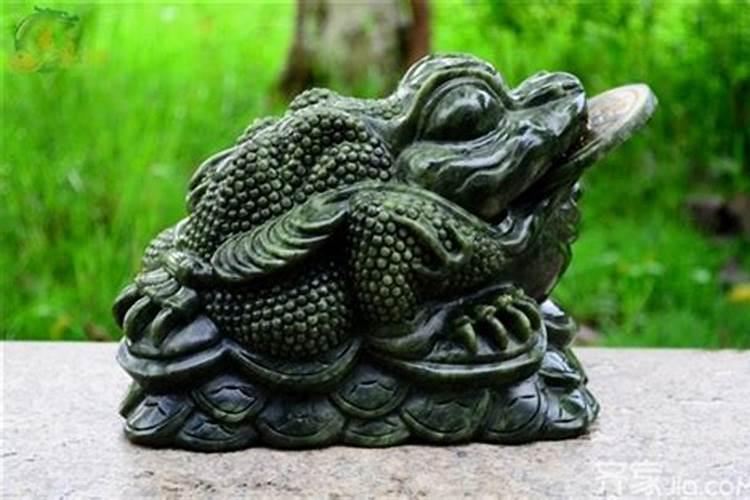 梦见活蟾蜍是什么征兆