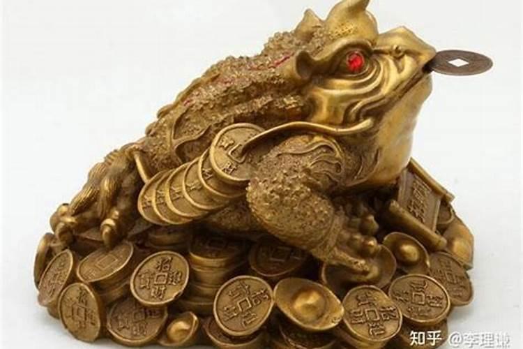 梦见活的蟾蜍周公解梦 梦见活的蟾蜍的意思