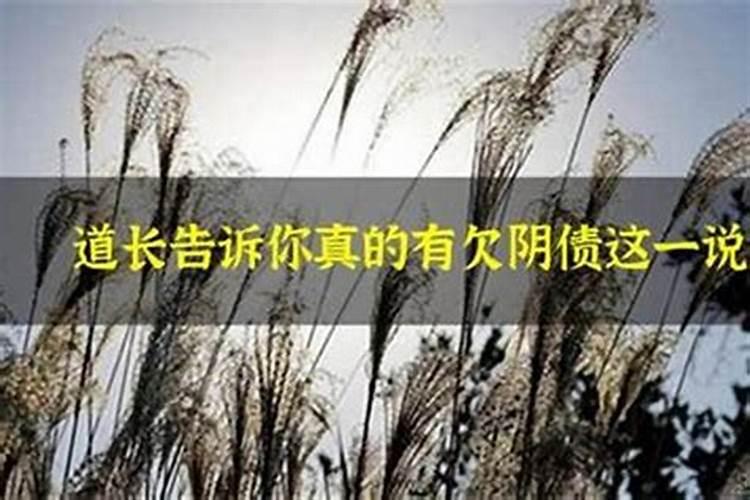 1980年阴历12月13阳历是多少