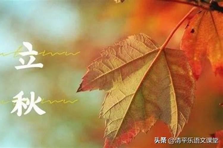 立秋北方人吃什么风俗