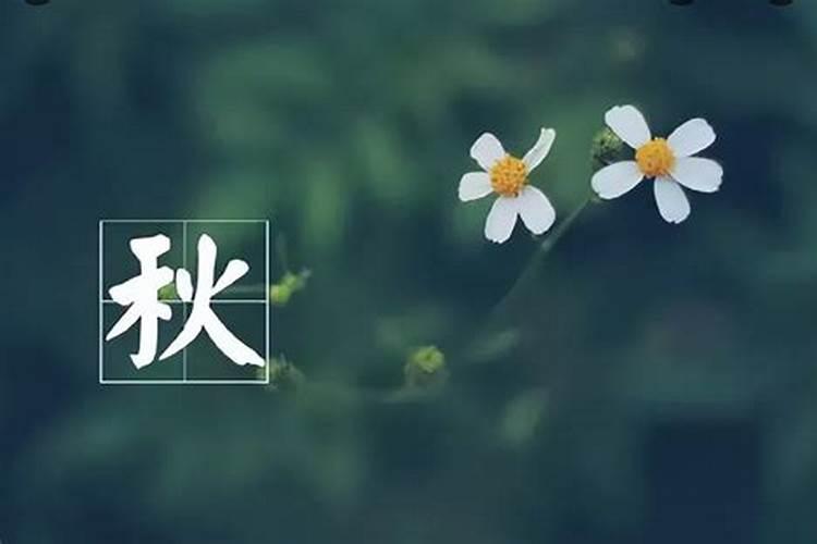 北方立秋吃什么传统食物庆祝？