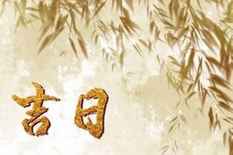 道士手里拿的东西叫什么