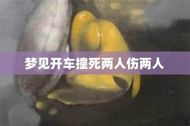 梦见河里两具死尸的预兆