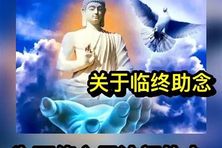 西游记第十一回主要内容400字