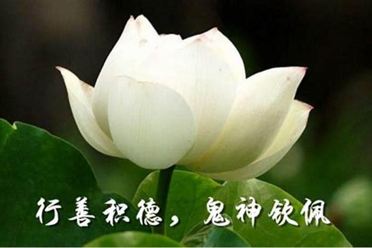 真童子的人生最后结局