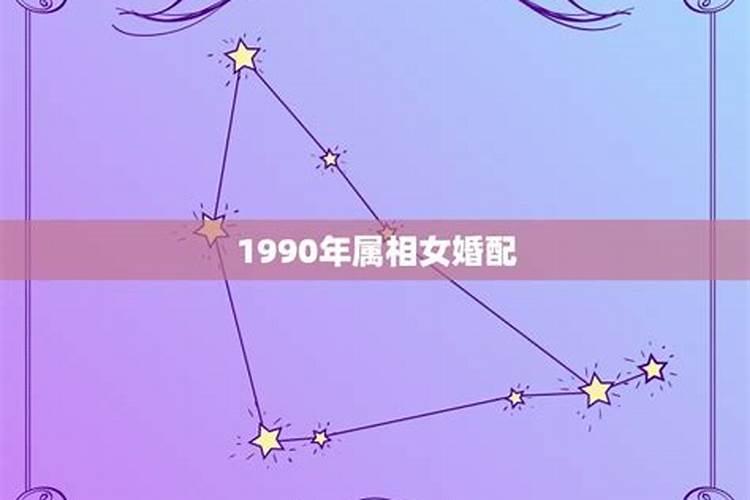1990年属马的更佳配偶,90年的马适合什么生肖的配偶