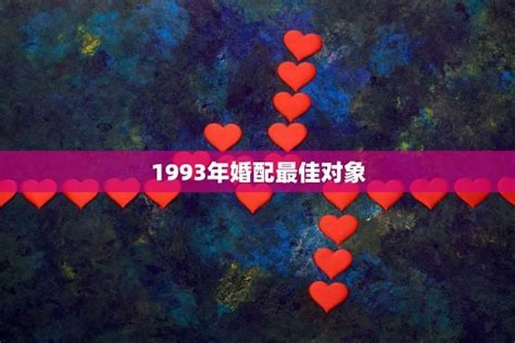 1990年属马的和什么属相相配好