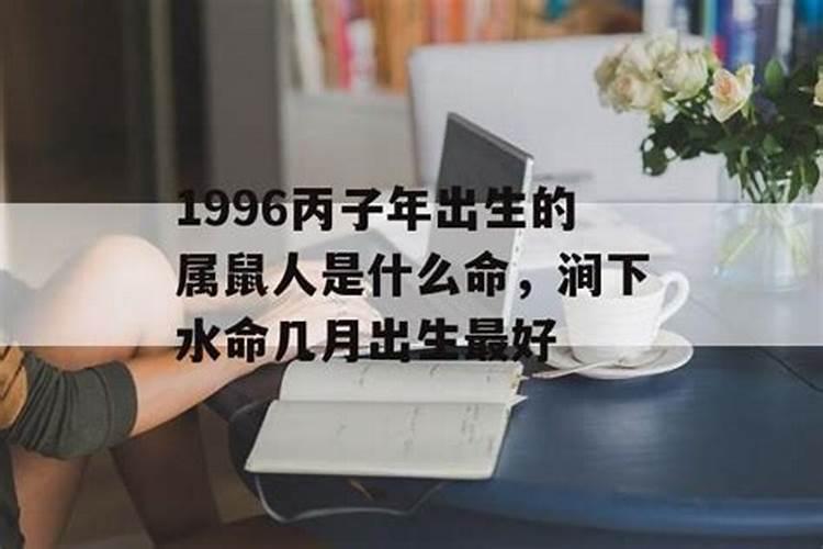 年份属鼠的人2024年运程