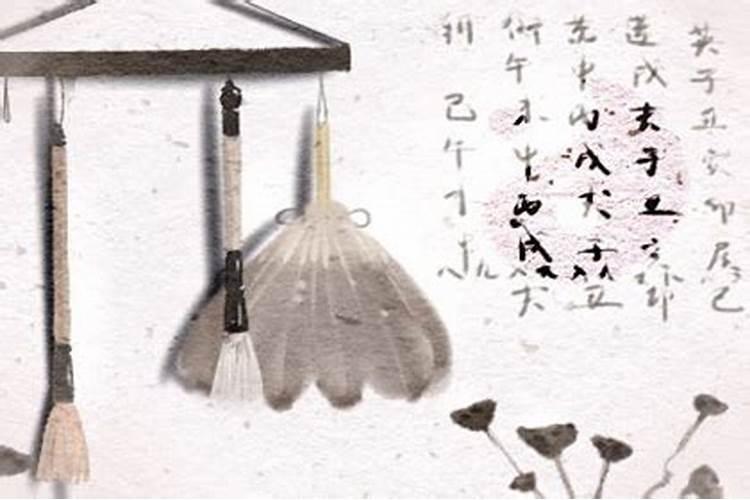 寿元什么意思？