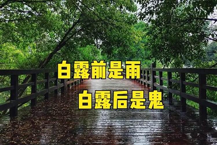 鬼节有什么禁忌和讲究
