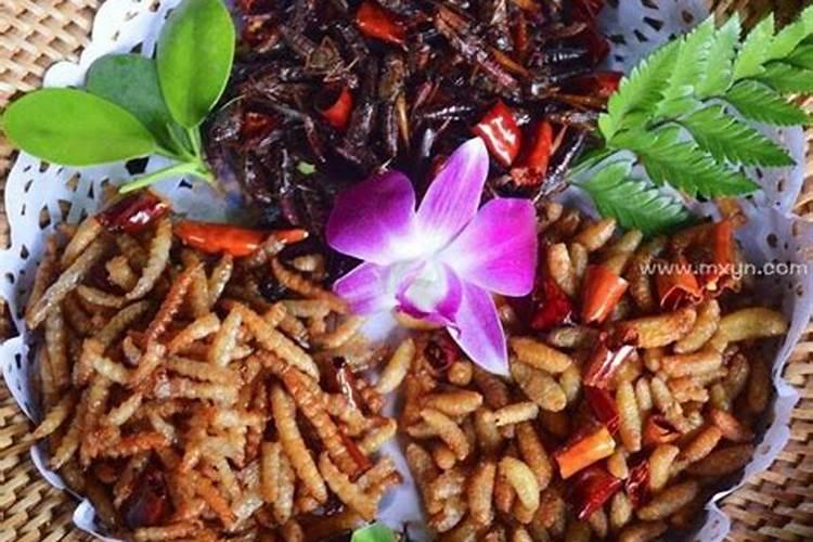 梦见自己吃到虫子的预兆