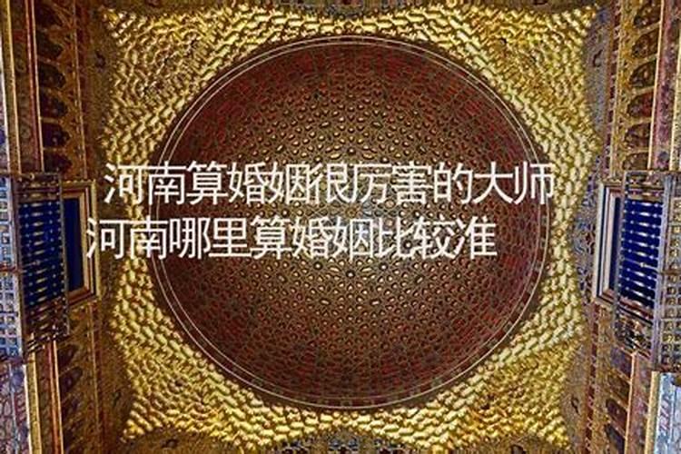 河南省哪个市离婚率最高？
