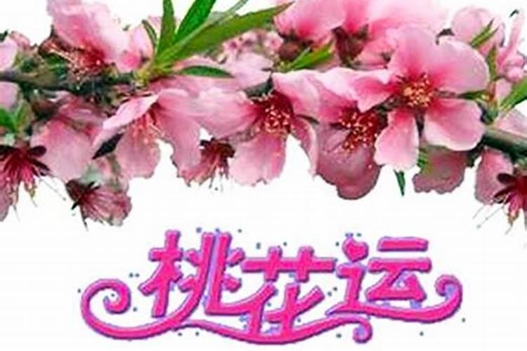风水如何求姻缘该怎么摆求姻缘的风水阵？