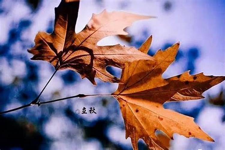 2023年立秋是黄道吉日吗2023年8月8号是黄道吉日吗
