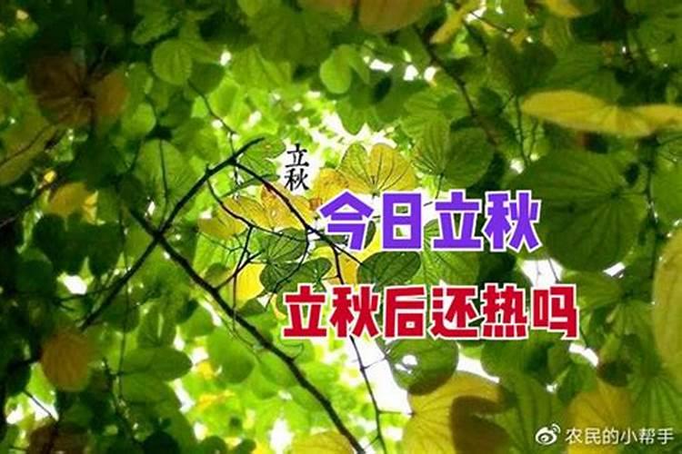 今年几号立秋2024 立秋习俗