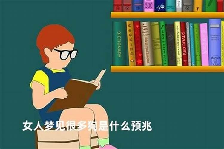 梦见好多狗是什么预兆 女性