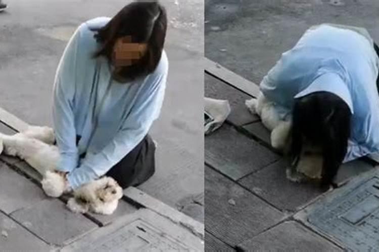梦见猫死了又活了是什么意思？