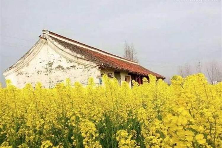 梦见下大雨房子漏雨是什么预兆