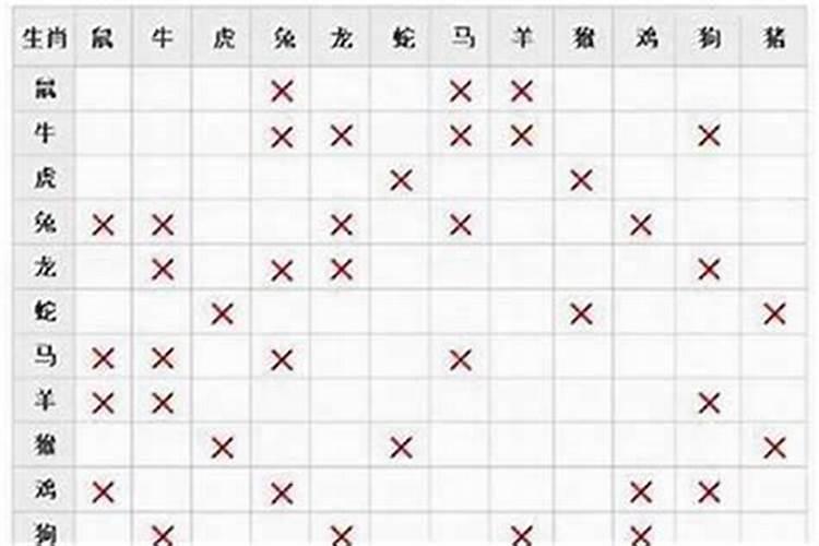 属马男和什么属相较配 属马的较佳配偶属相