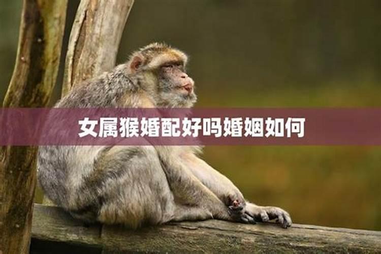 80年属猴女在2025年每月运势
