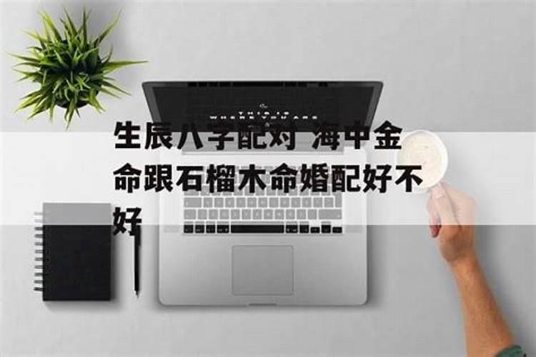 石榴木男和海中金女般配吗