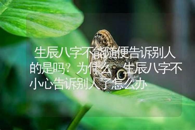 属龙的运程如何