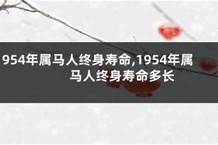 90年属马人的一生,1990年属马的姻缘