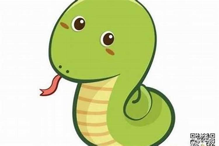 本命年蛇年要注意什么佩戴什么