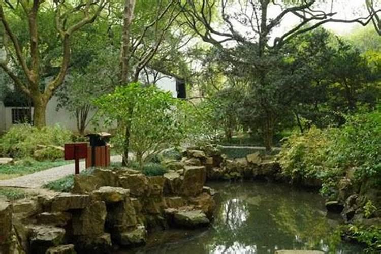 端午节上海哪里比较热闹,端午节上海周边旅游攻略