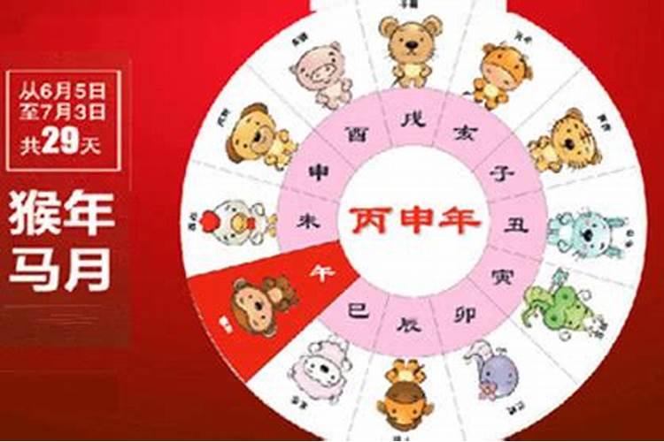 猴年马月的来历