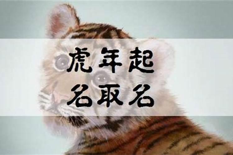 冬至出生起什么小名