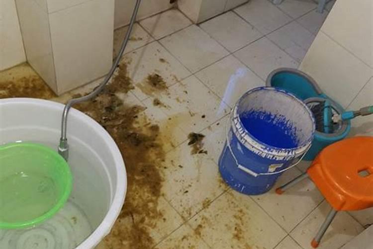 梦见家里卫生间下水堵了的预兆