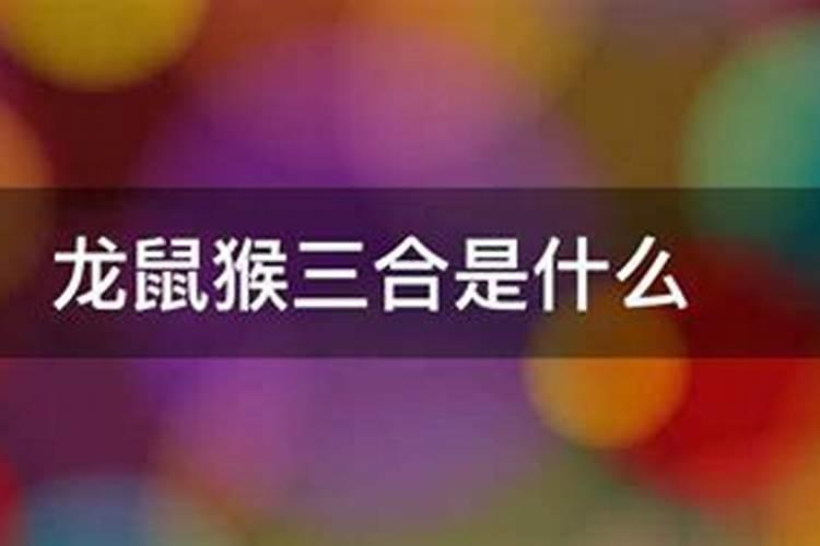 为什么说龙鼠不结亲