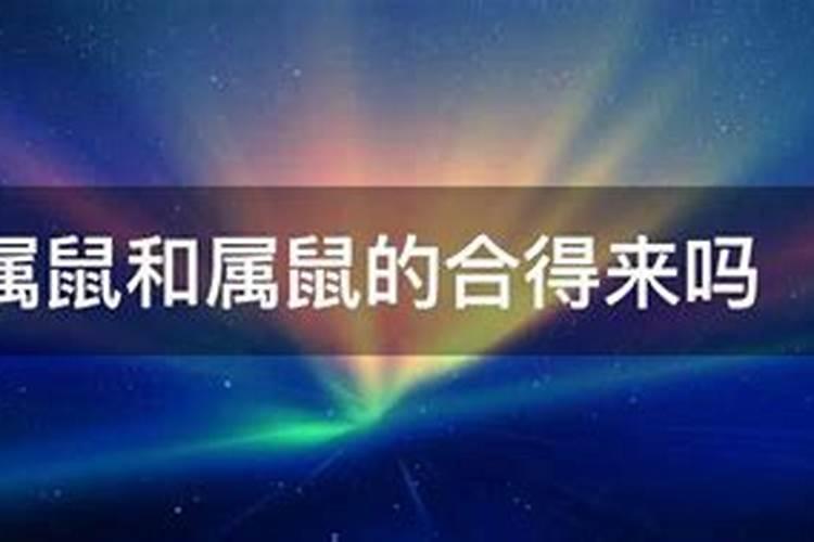 龙和鼠是冲还是合