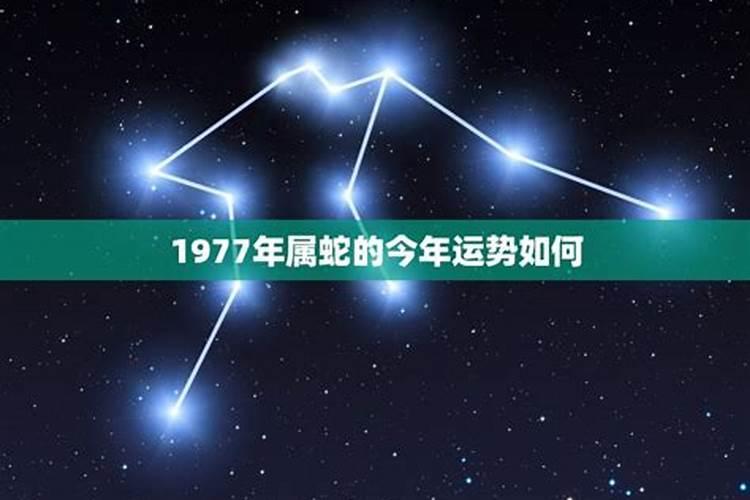 生肖蛇1977年2025年运势如何 生肖蛇1977年2025年全年运势