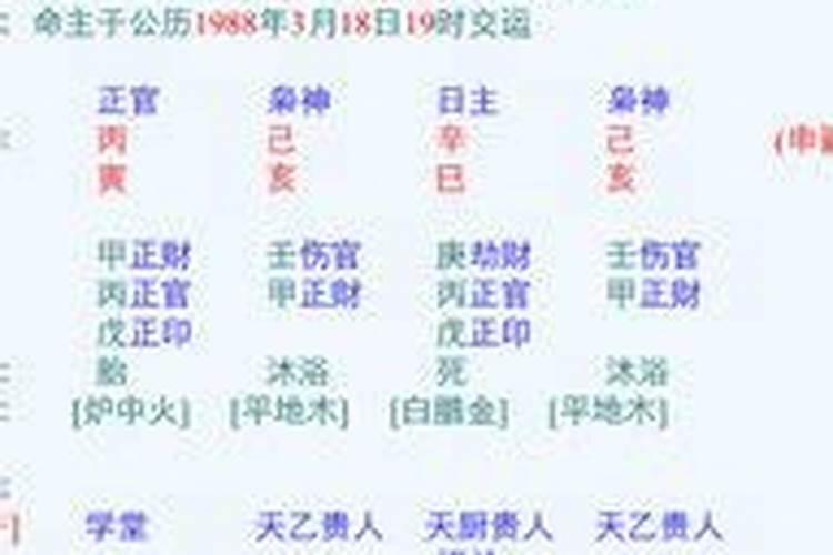 巳时出生的人命运如何