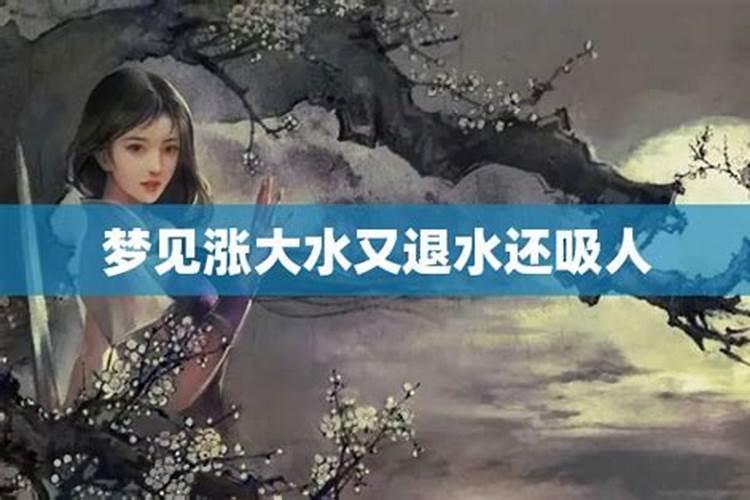 属虎的今年多大了2024年