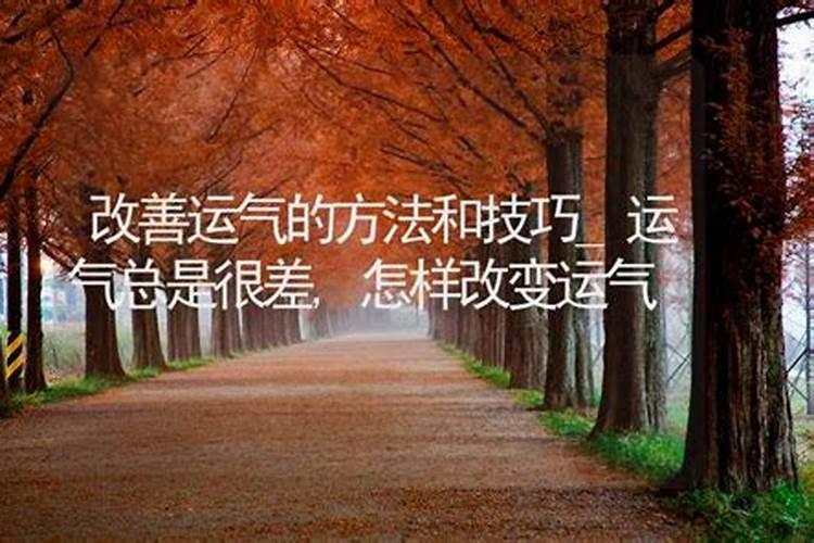 工作不顺利怎么转？