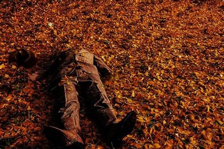 梦见死人头掉了的预兆