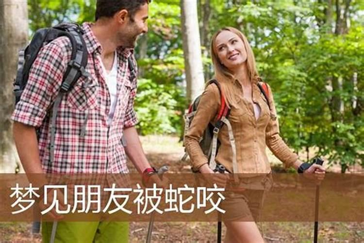 梦到男朋友被蛇咬预示着什么