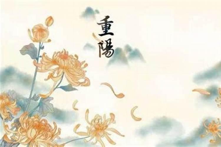 重阳节菊花寓意？