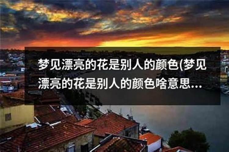 梦见天天在老家树林山岭玩的预兆