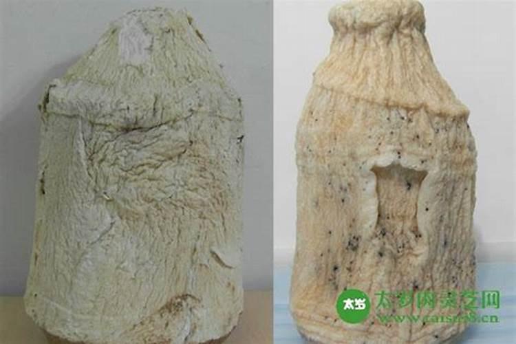 属虎几月出生最好命