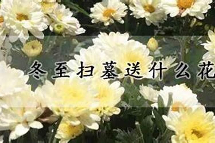 冬至烧纸是中午还是晚上 扫墓用什么贡品