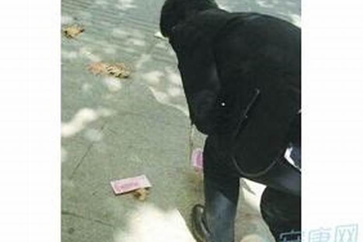 亥时出生的属兔人命运分析