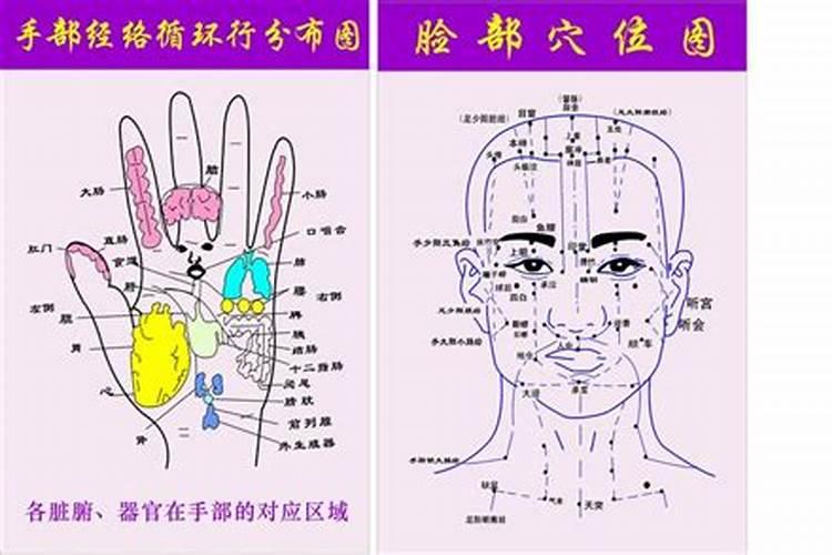 终身享福痣 家财万贯福气满满？