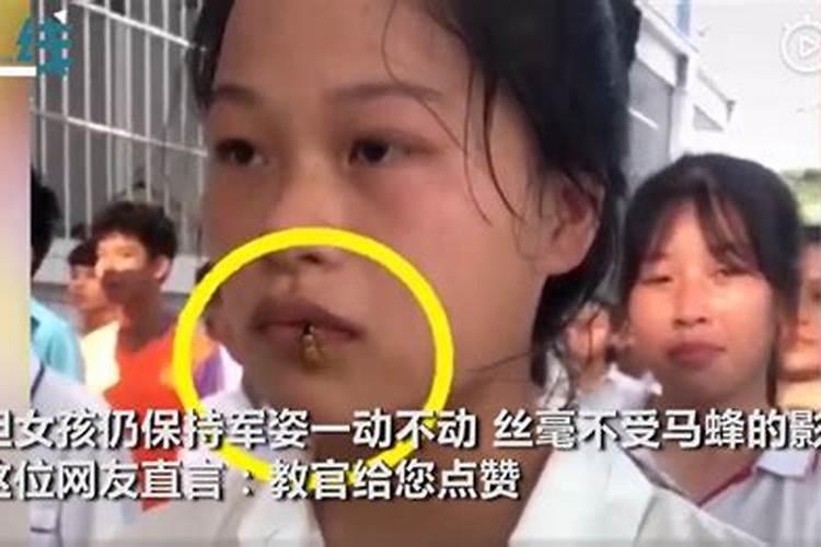 梦见被蜜蜂蜇手蛰脸