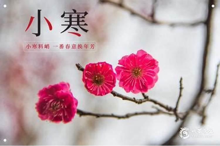 老人农历11月29去世,腊月初六下葬这期间是什么日