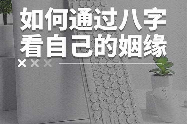 为什么双胞胎八字相同但命运不同,请大师解释